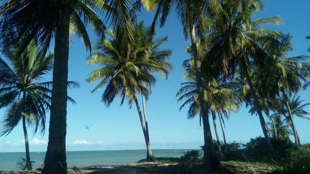 Pousada Vale Encantado Sao Miguel dos Milagres Bagian luar foto