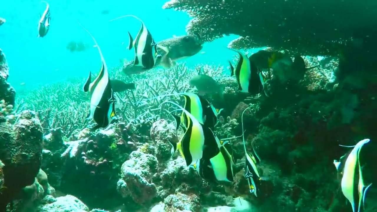 Pousada Vale Encantado Sao Miguel dos Milagres Bagian luar foto